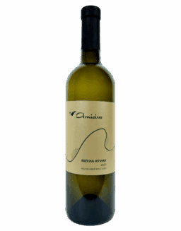 amicius rizling rynsky